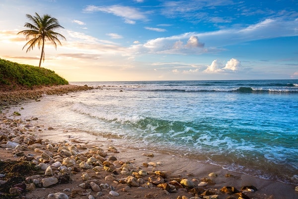 Jamaica  - Caribbean Beach