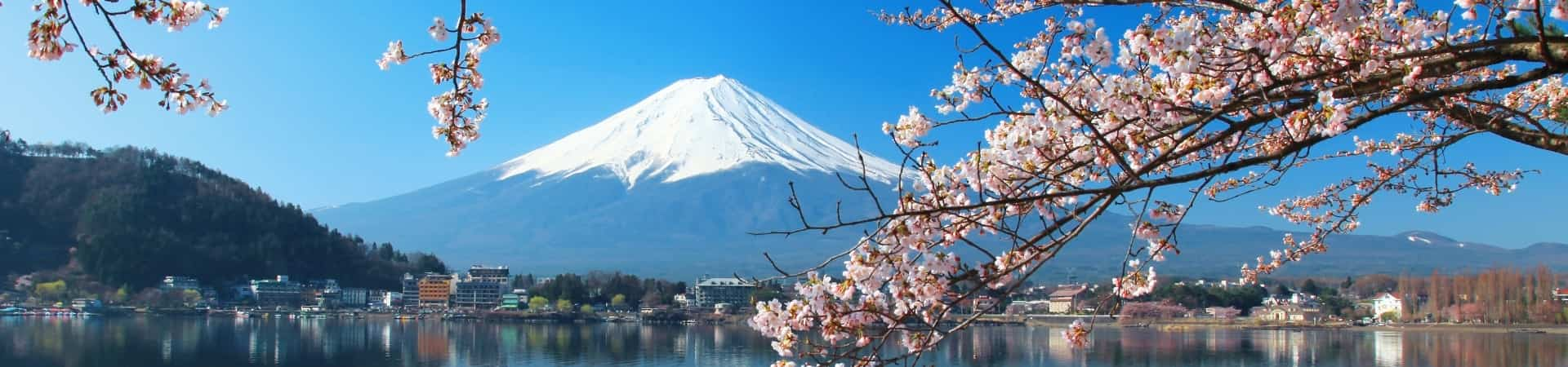 Mount Fuji Shimizu