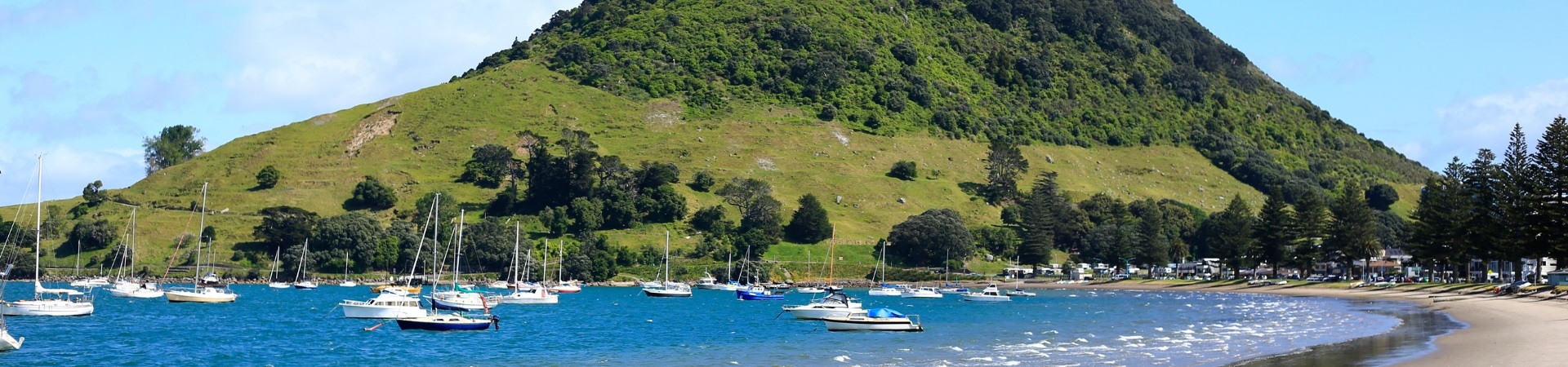 Tauranga - New Zealand