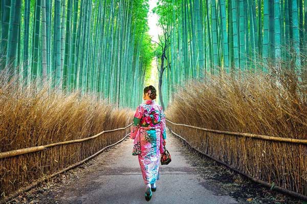 Explore Japan with Celebrity Cruises