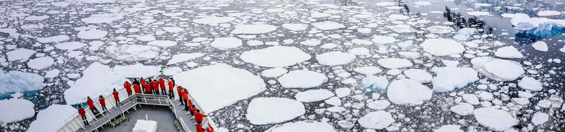 Norwegian Star in Antarctica