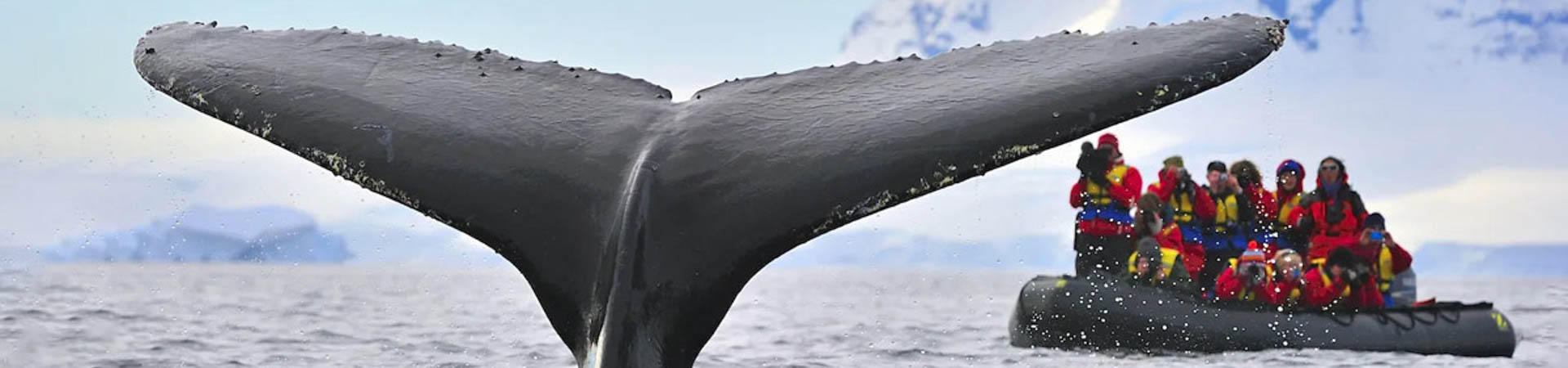 Norwegian Star in Antarctica