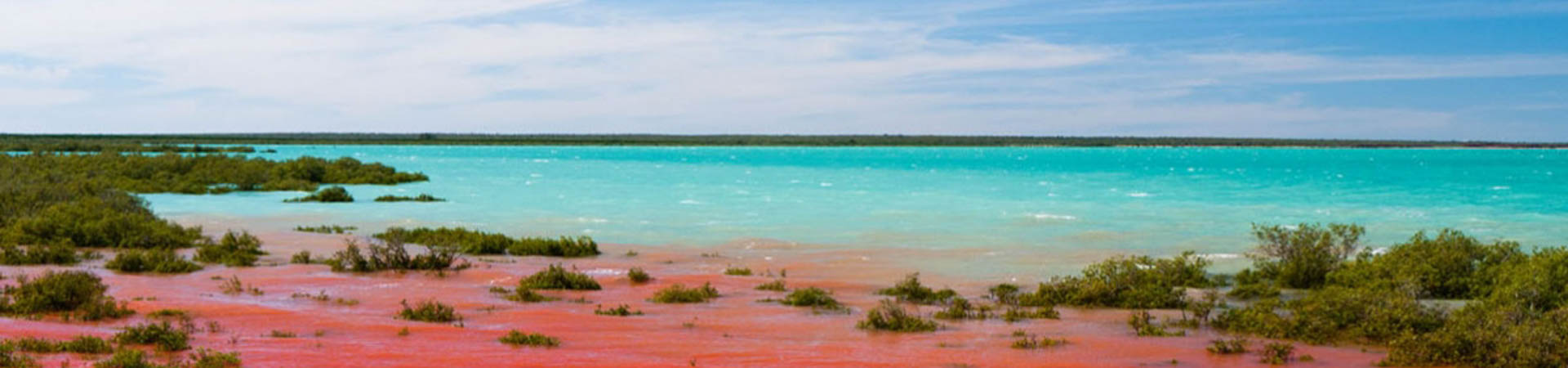 Broom, Australia