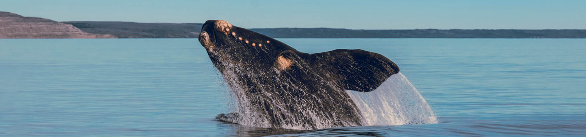 Puerto Madryn, Argentina