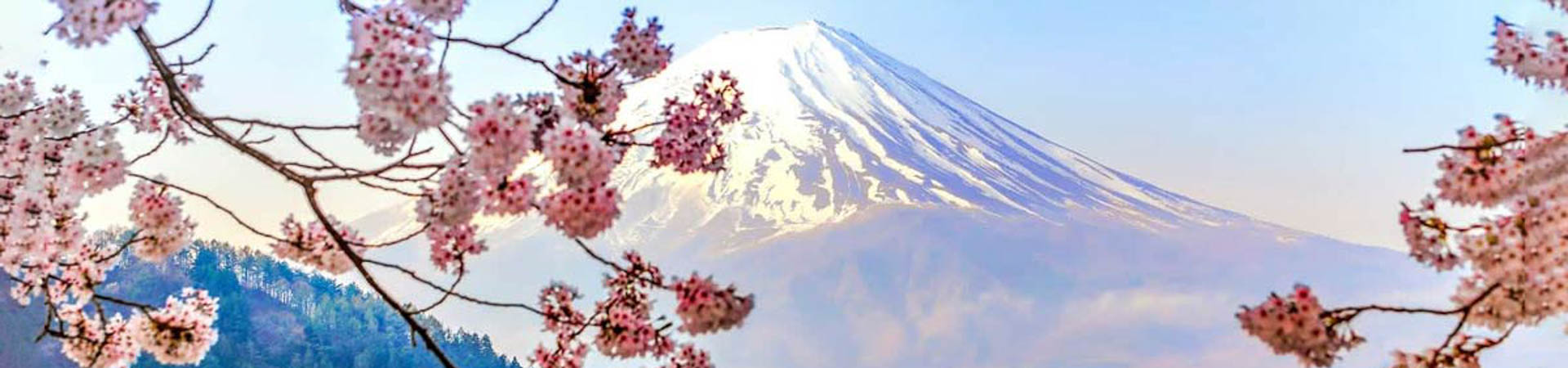 Mount Fuji Shimizu - Japan