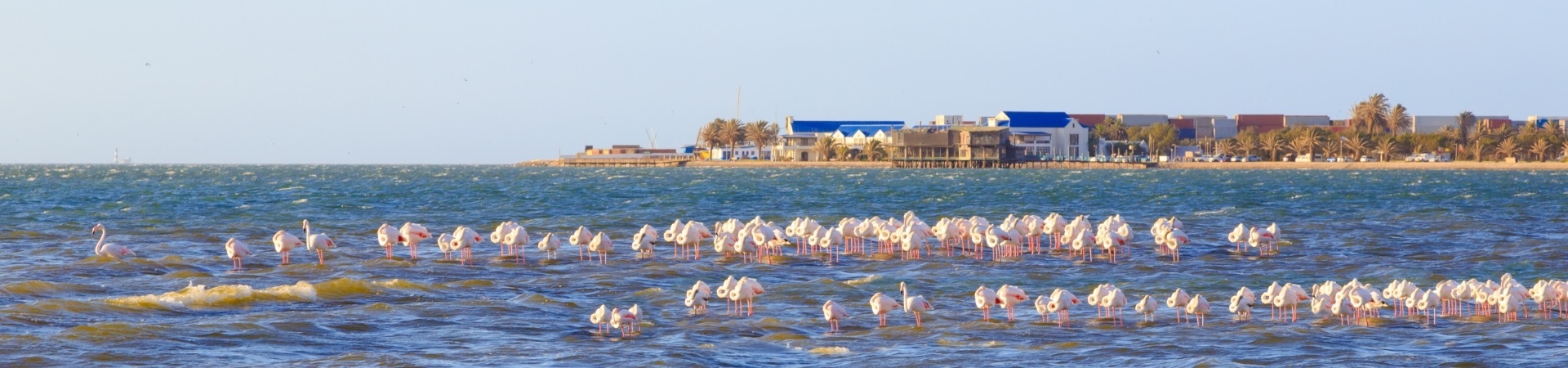 Walvis Bay - Namibia