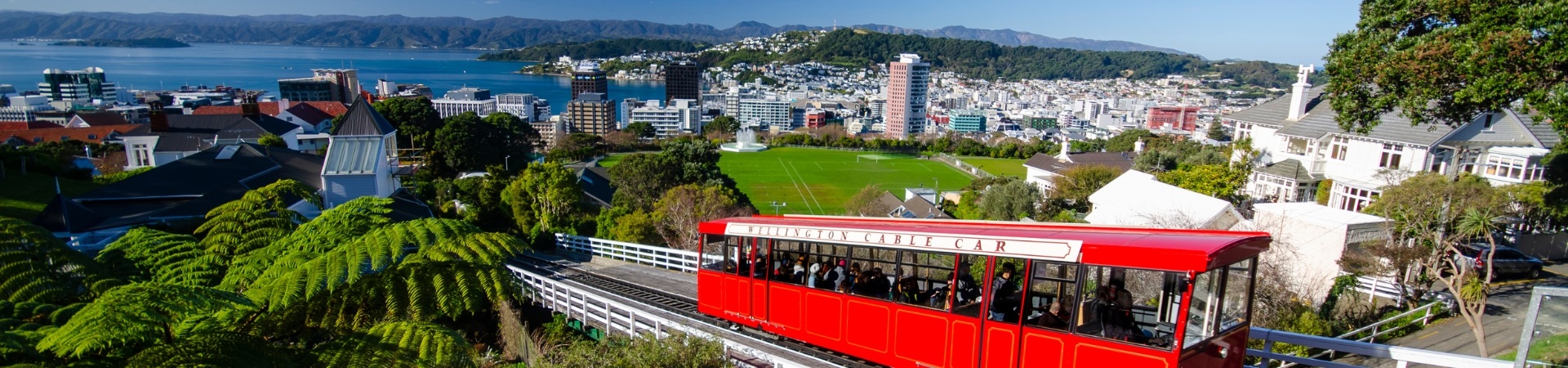 Wellington-banner