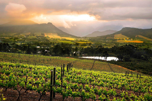 ports cape town cape winelands 200