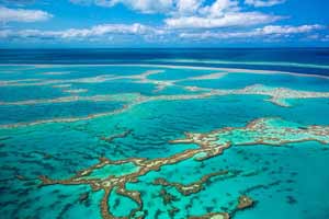 ports cairns barrier reef ahoy 200