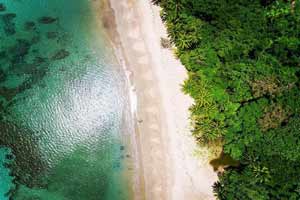 ports cairns daintree national park ahoy 200