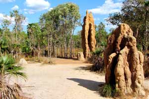 ports darwin litchfield termite mounds ahoy 200